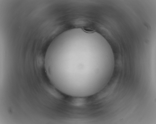 X0000114220081200910231452