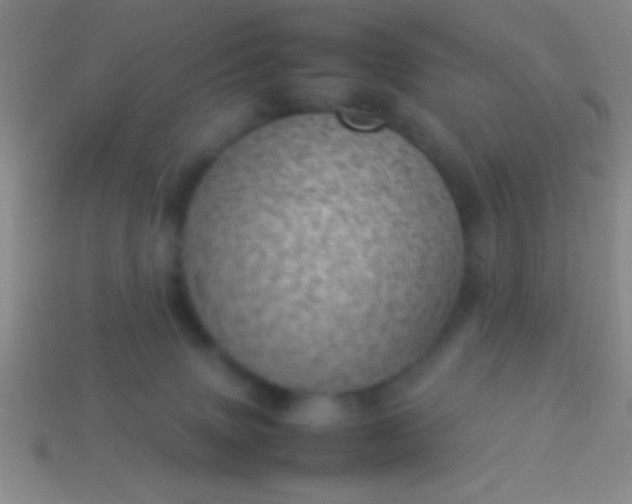 X0000114220083200910231452