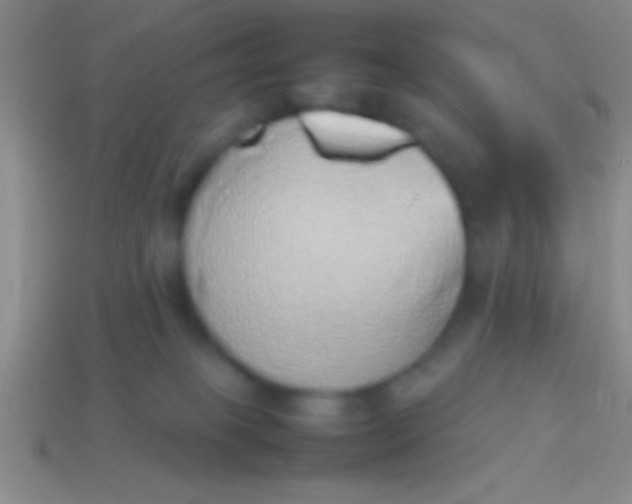 X0000114220085200910231452