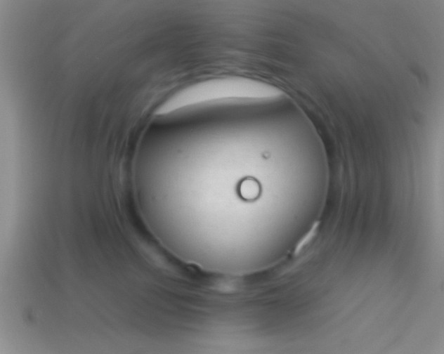 X0000114220088200910231452