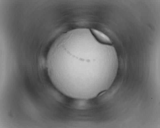 X0000114220089200910231452