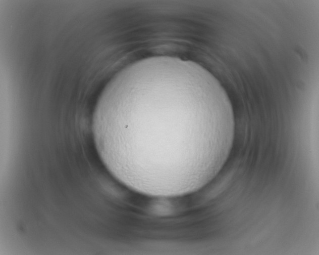 X0000114220091200910231452