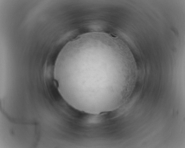 X0000114220093200910231452