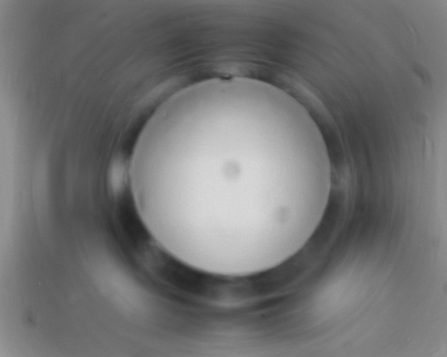 X0000114220095200910231452