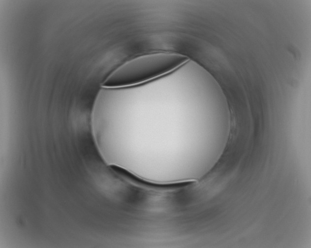 X0000114220096200910231452