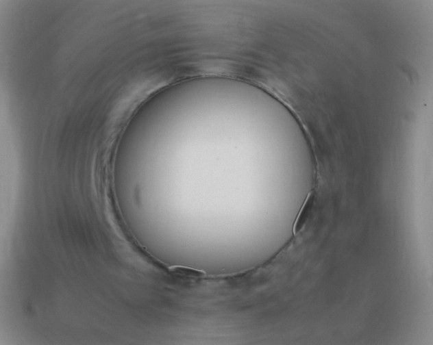 X0000114220097200910231451