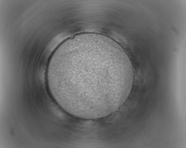 X0000114220098200910231451