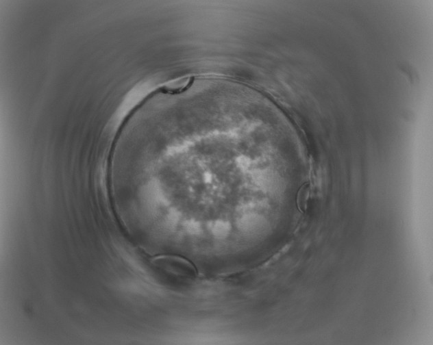 X0000114220099200910231451