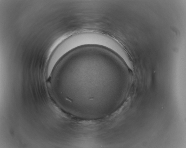 X0000114220100200910231451