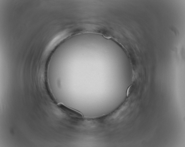 X0000114220101200910231451