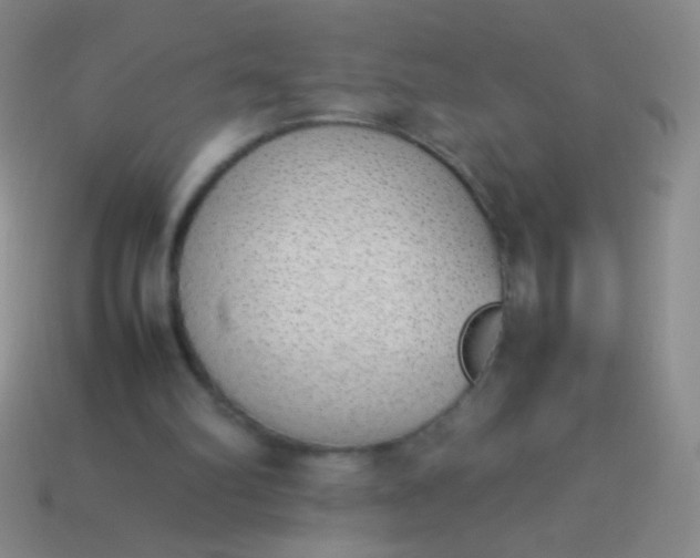 X0000114220102200910231451