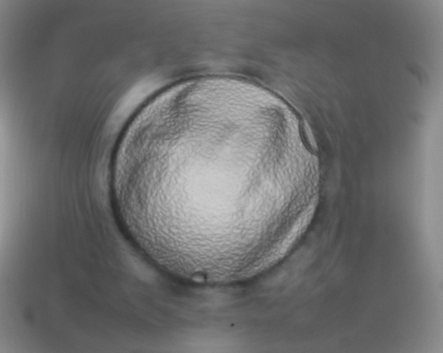 X0000114220103200910231451