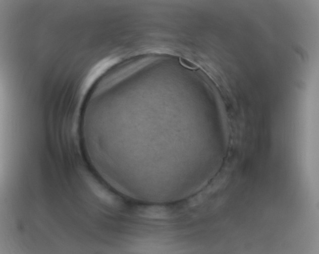 X0000114220104200910231451