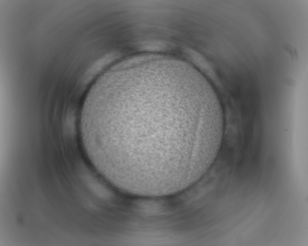 X0000114220106200910231451