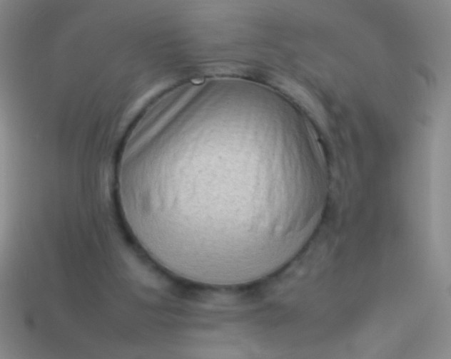 X0000114220107200910231451