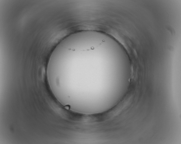 X0000114220109200910231451