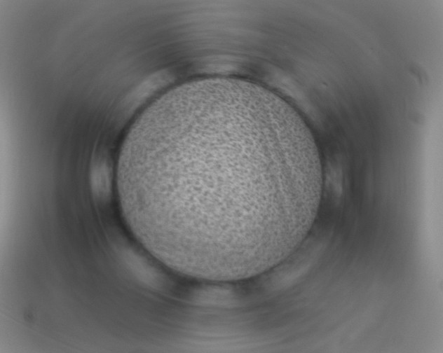 X0000114220110200910231451