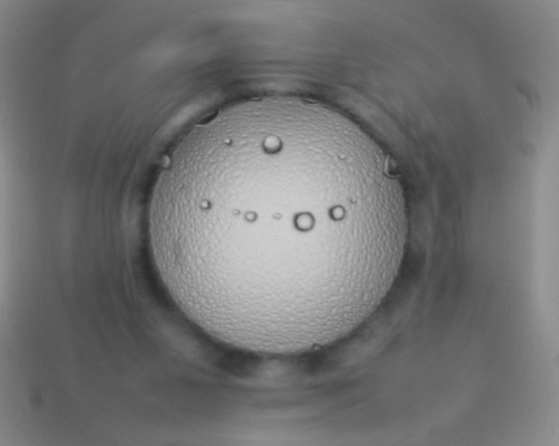 X0000114220111200910231451