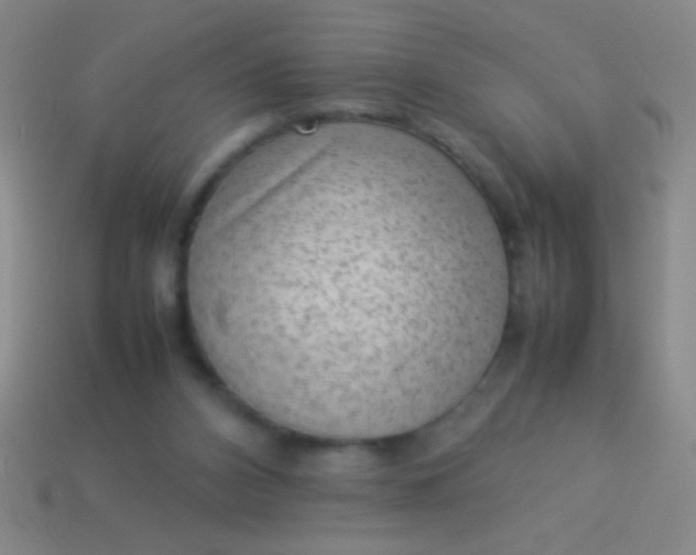 X0000114220112200910231451