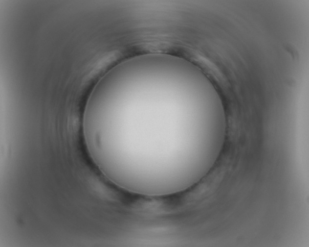 X0000114220113200910231451