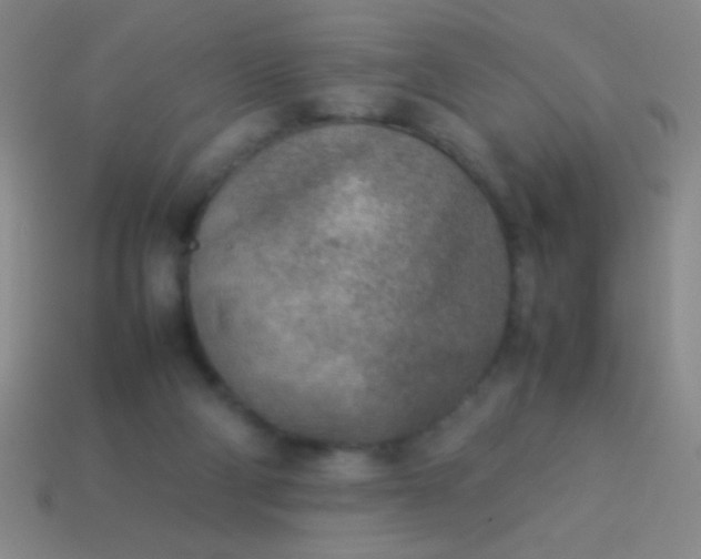 X0000114220114200910231451