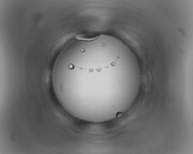 X0000114220115200910231451