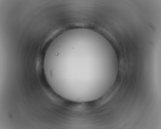 X0000114220116200910231451