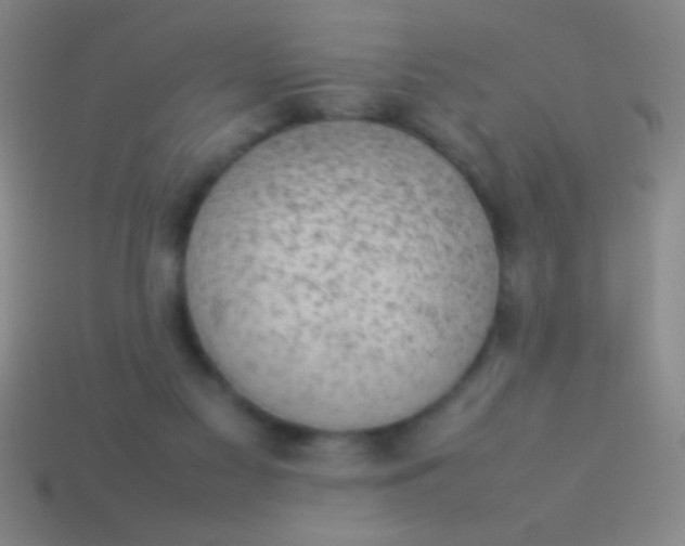 X0000114220117200910231451