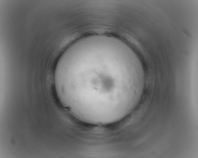 X0000114220119200910231451