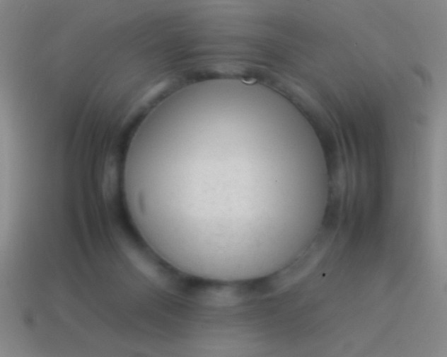 X0000114220120200910231451