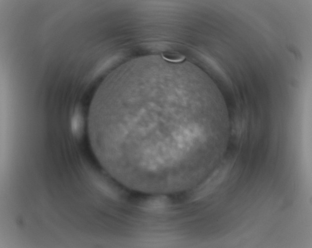 X0000114220124200910231451