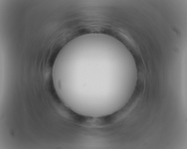 X0000114220125200910231451