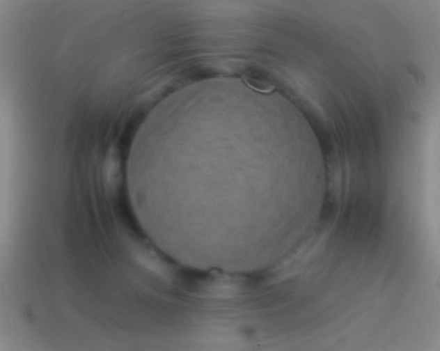 X0000114220128200910231451