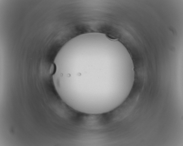 X0000114220129200910231451