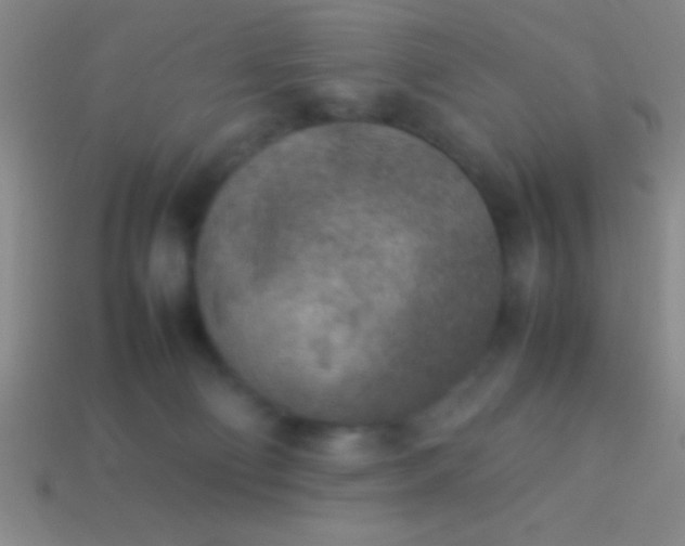 X0000114220130200910231451