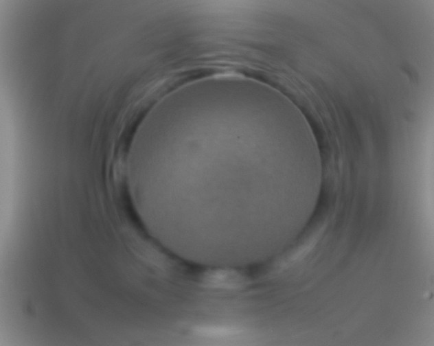 X0000114220137200910231451