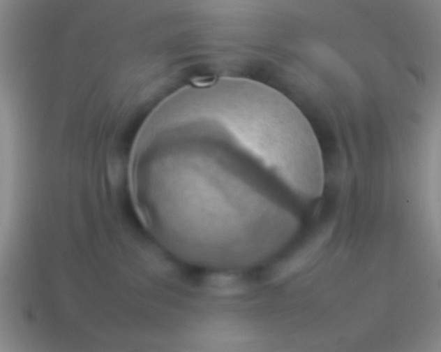 X0000114220139200910231451