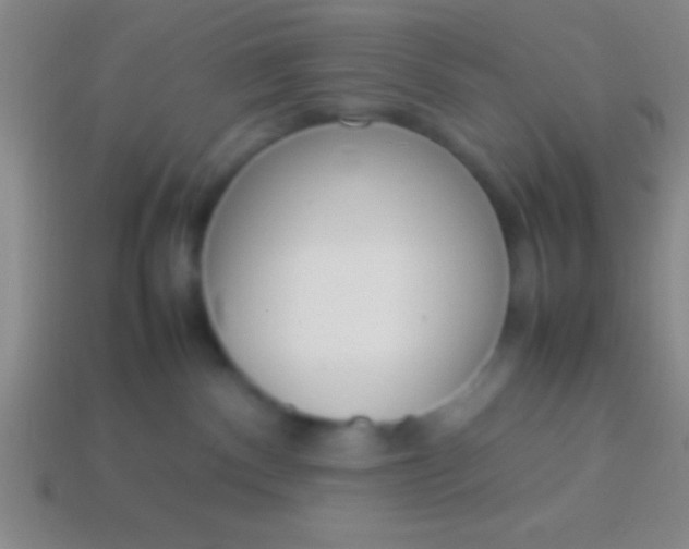 X0000114220140200910231451