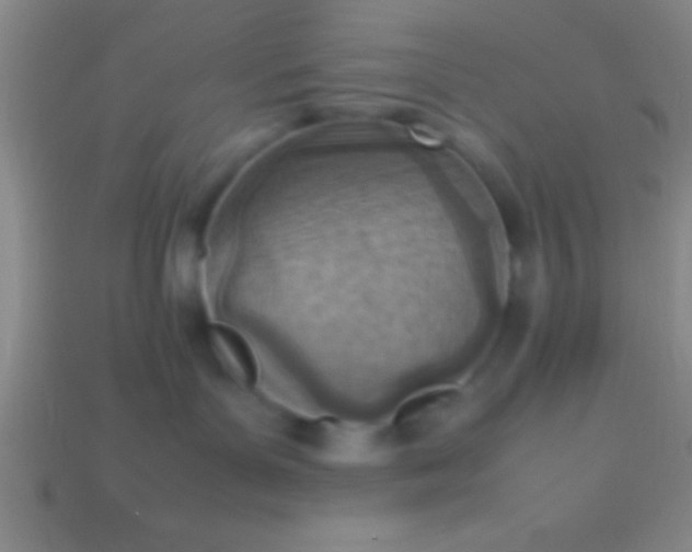 X0000114220143200910231451