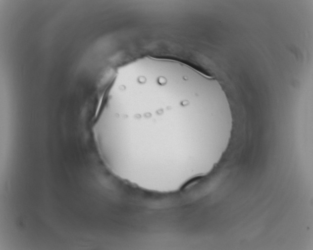 X0000114220144200910231451