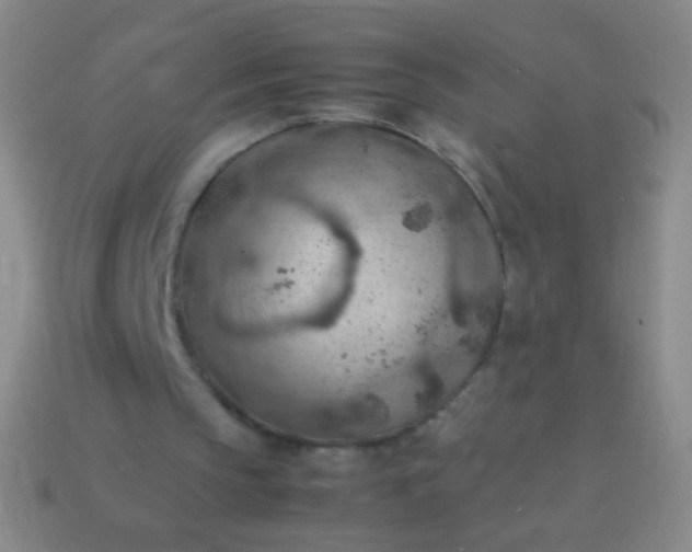 X0000114220145200910231450