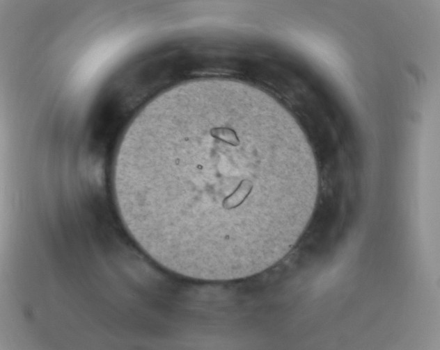 X0000114220146200910231450