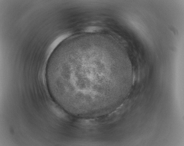 X0000114220147200910231450