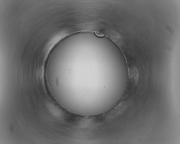 X0000114220148200910231450