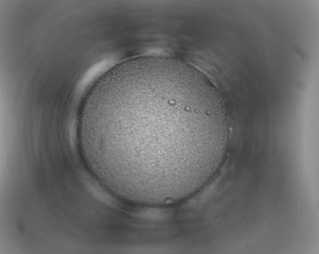 X0000114220149200910231450