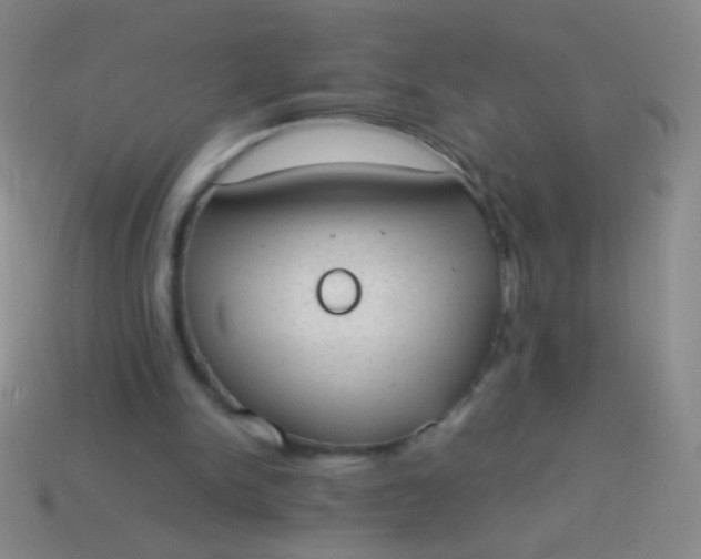 X0000114220150200910231450