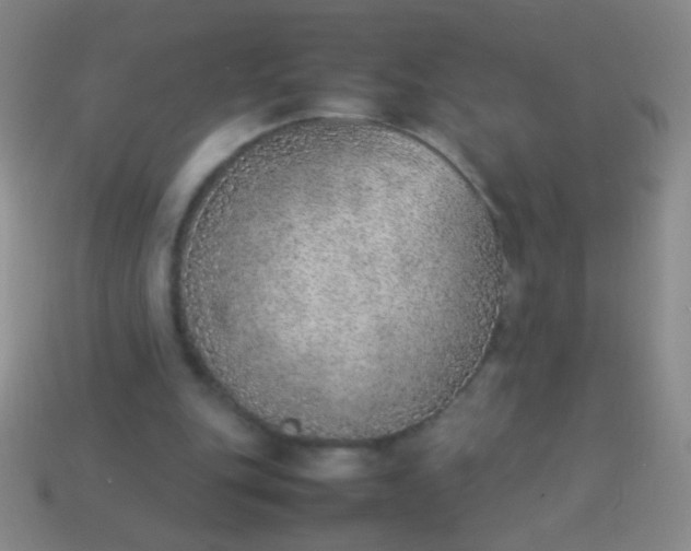 X0000114220151200910231450