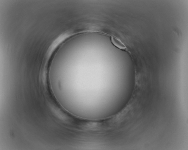 X0000114220152200910231450