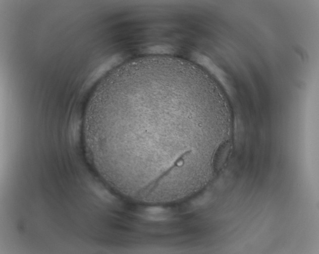 X0000114220153200910231450