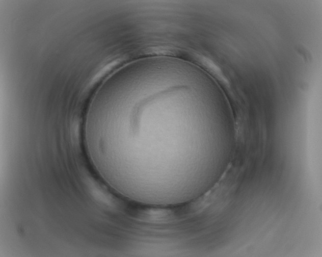 X0000114220154200910231450